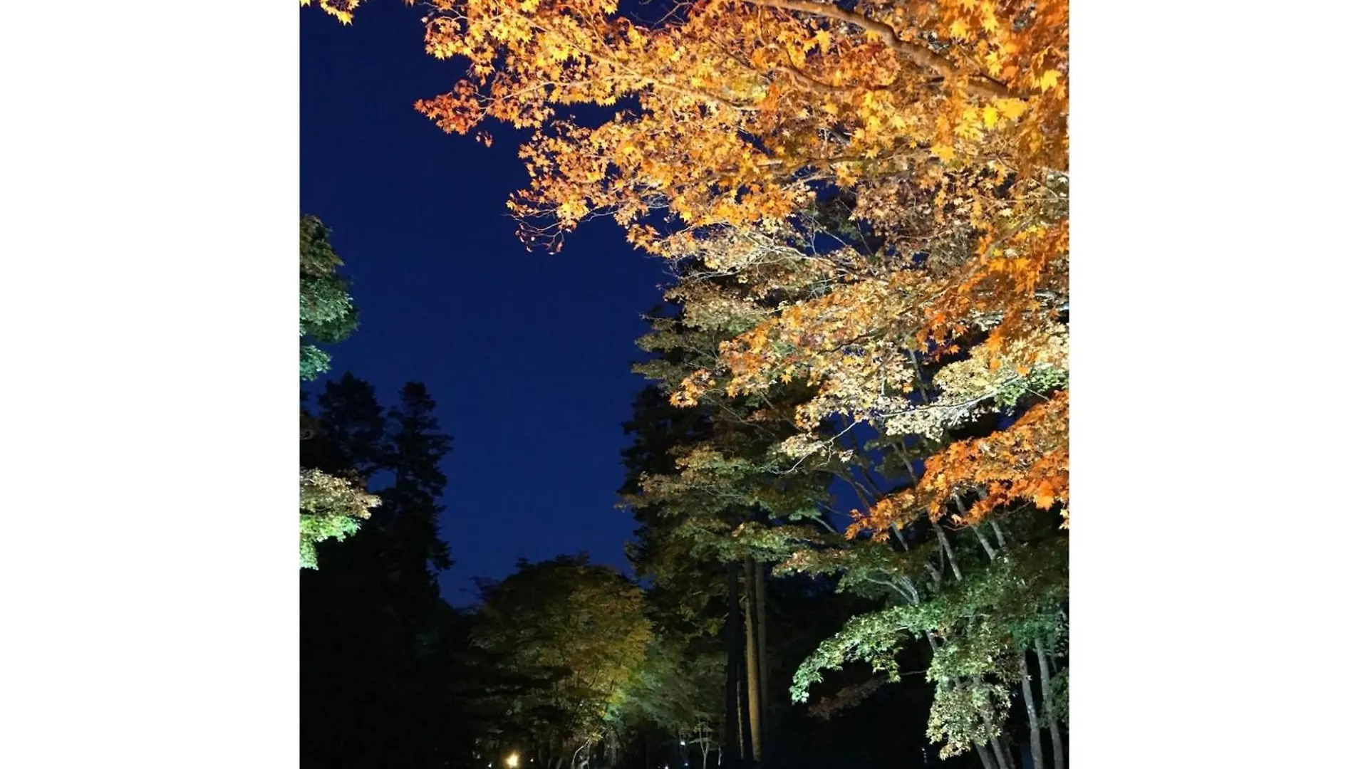 Hotel Tetora Yunokawaonsen - Vacation Stay 30577V Hakodate Japón